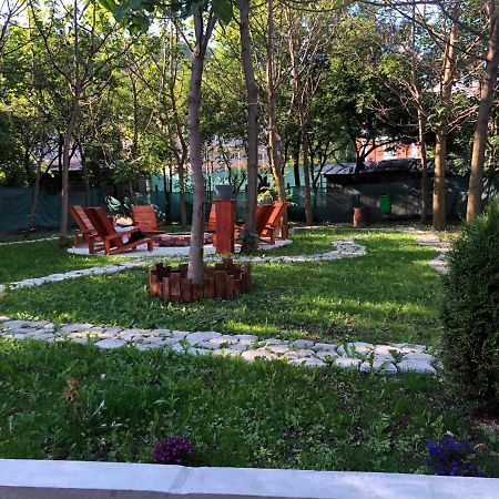 Hotel Casa Anina Zewnętrze zdjęcie