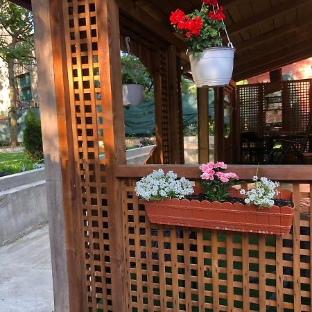 Hotel Casa Anina Zewnętrze zdjęcie