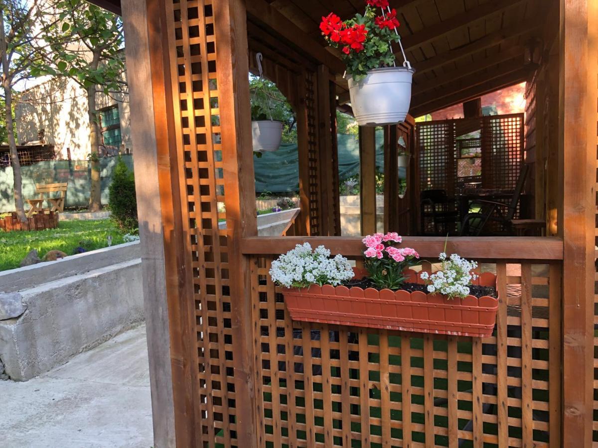 Hotel Casa Anina Zewnętrze zdjęcie