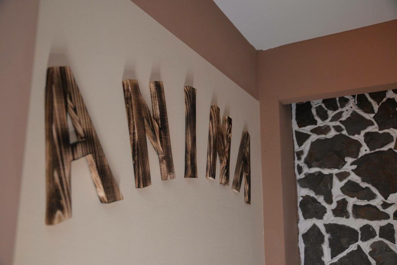 Hotel Casa Anina Zewnętrze zdjęcie