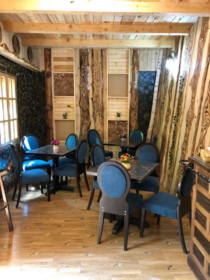 Hotel Casa Anina Zewnętrze zdjęcie